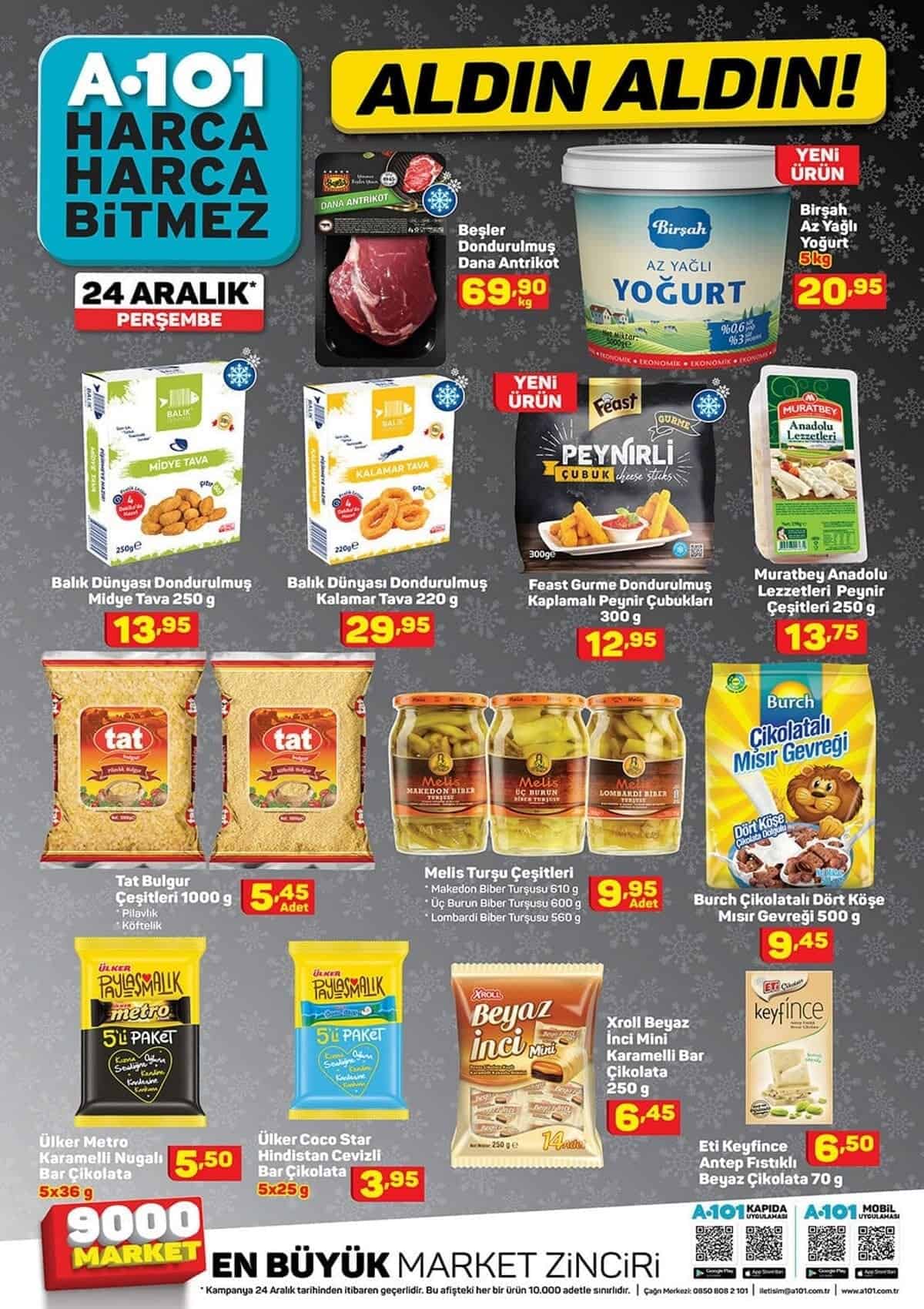a101 24 aralık 2020 sayfa-9