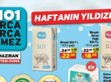 A101 8 haziran 2024 sayfa-4